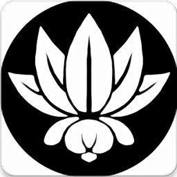 巫师之路