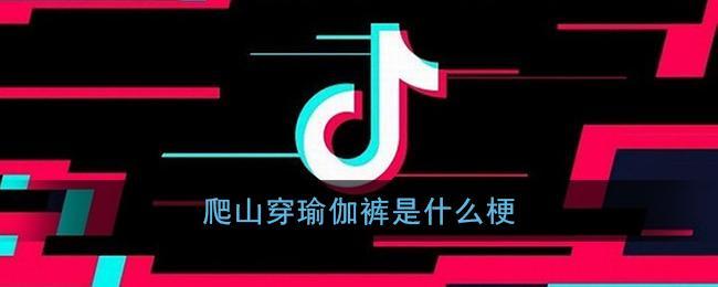 瑜伽裤爬山梗
