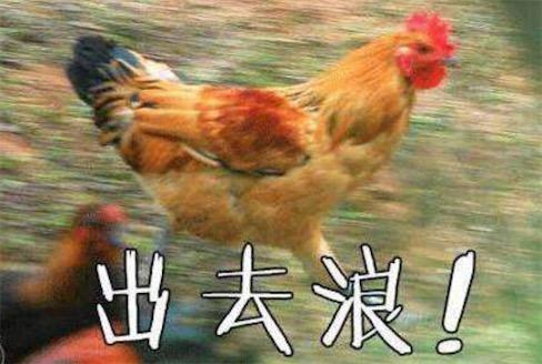 xxj行为是什么意思什么梗
